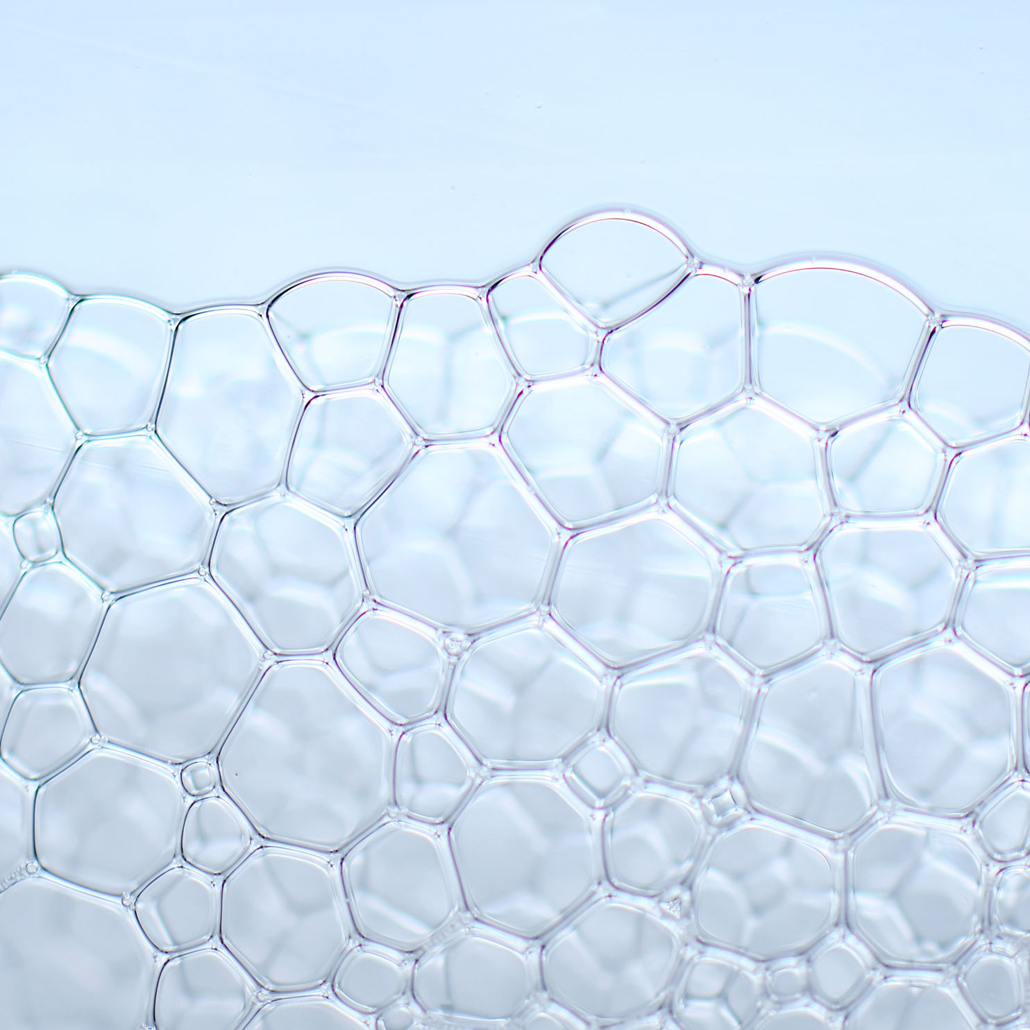 Hygiene hypothesis 3_RS kopie