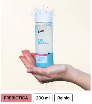 Screenshot 2025-08-01 at 13.12.19