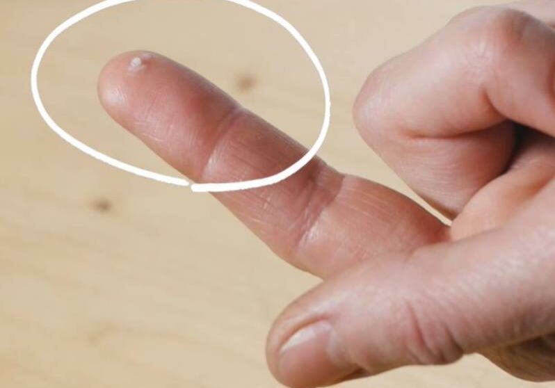 17212135_400754226962196_5899288893404944813_o kopie